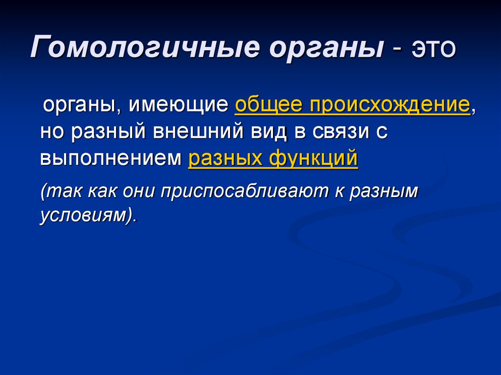 Гомологичные органы - это