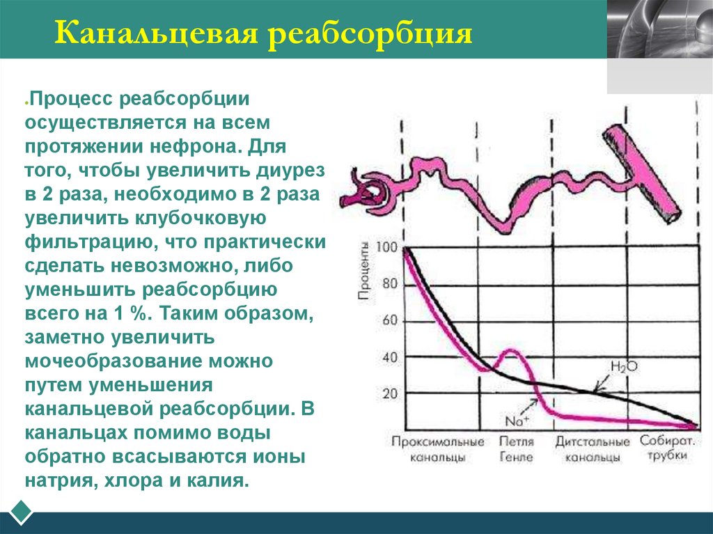 Канальцевая реабсорбция