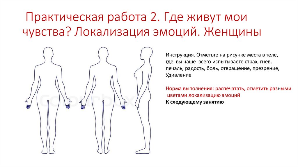 Практическая работа 2. Где живут мои чувства? Локализация эмоций. Женщины