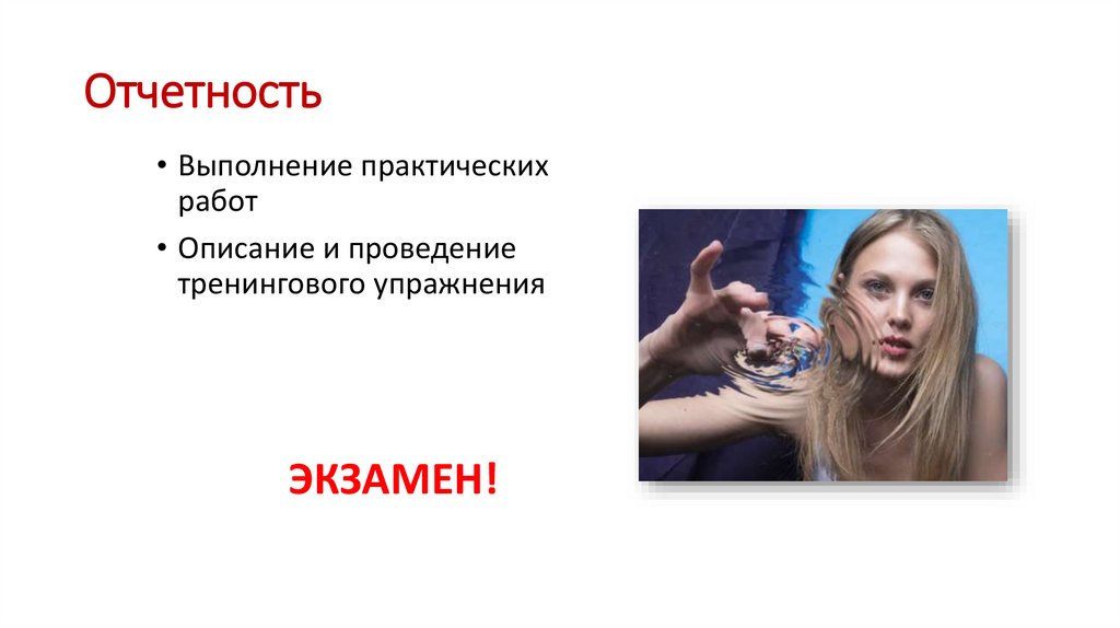 Отчетность