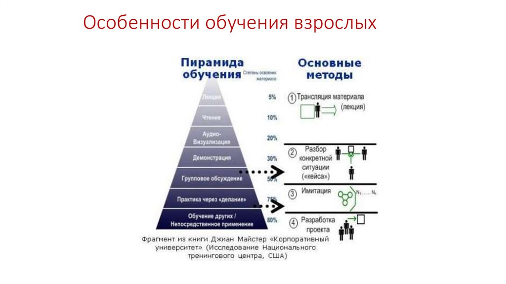 Особенности обучения взрослых