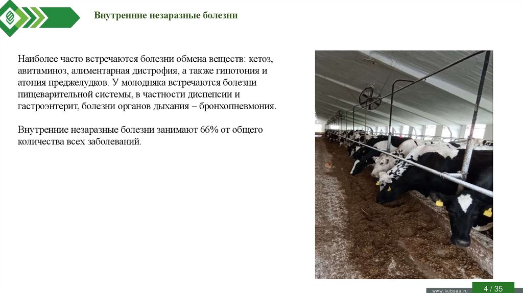 Внутренние незаразные болезни