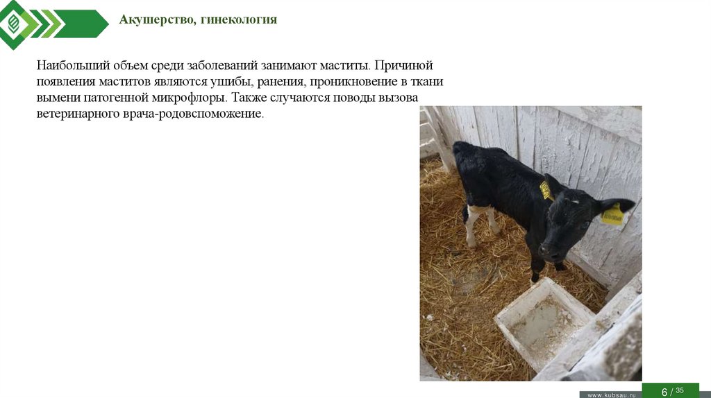 Акушерство, гинекология