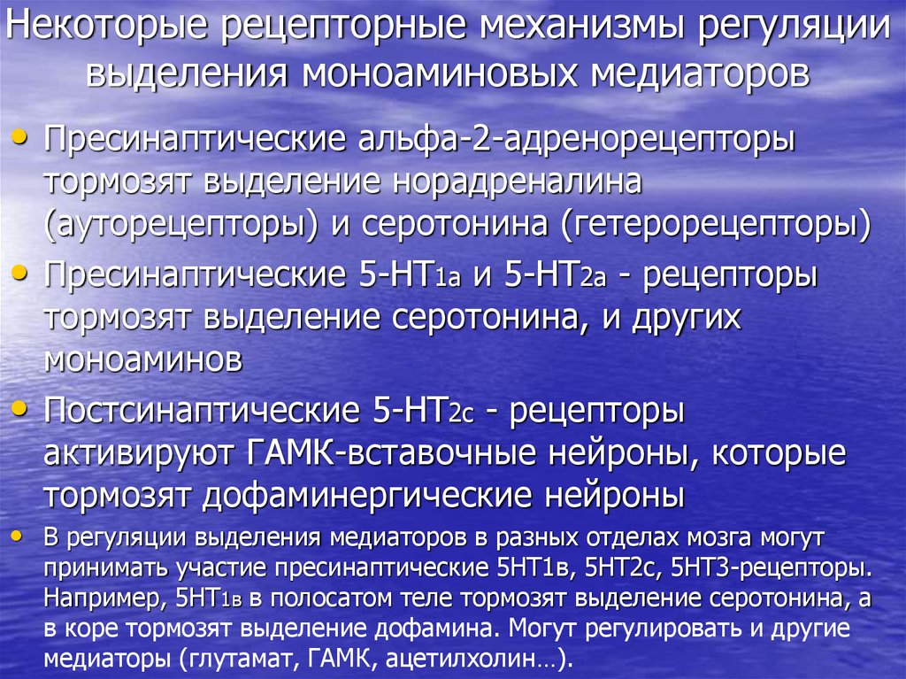 Некоторые рецепторные механизмы регуляции выделения моноаминовых медиаторов
