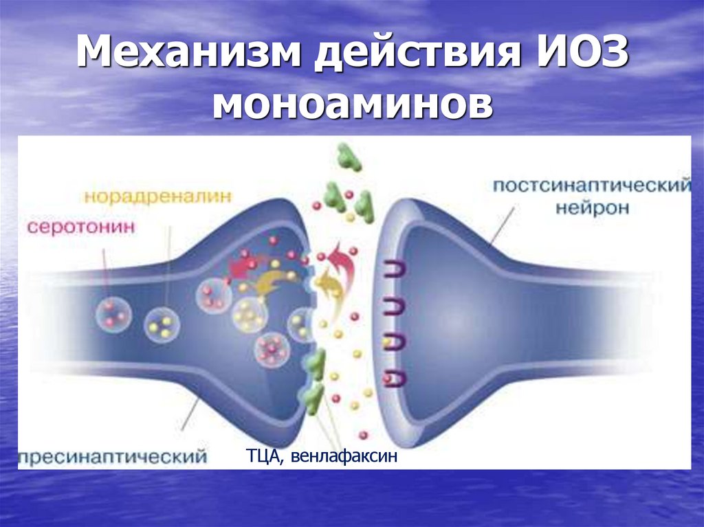 Механизм действия ИОЗ моноаминов