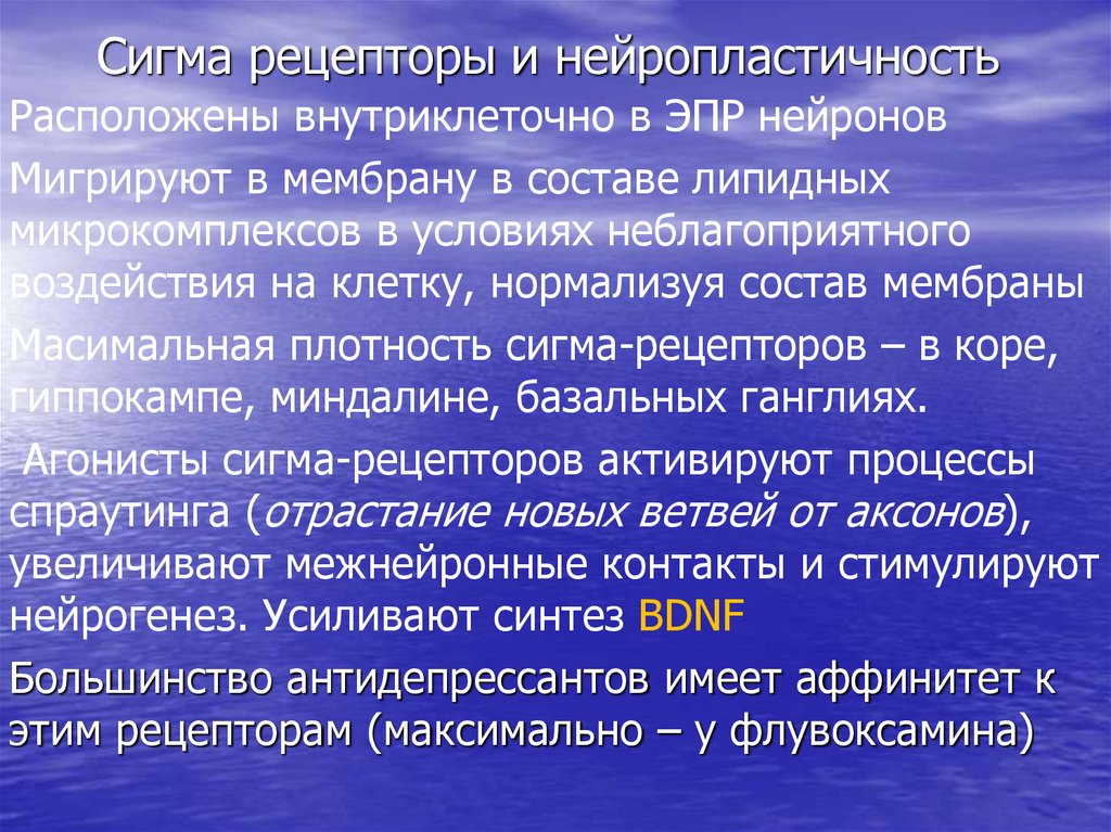 Сигма рецепторы и нейропластичность