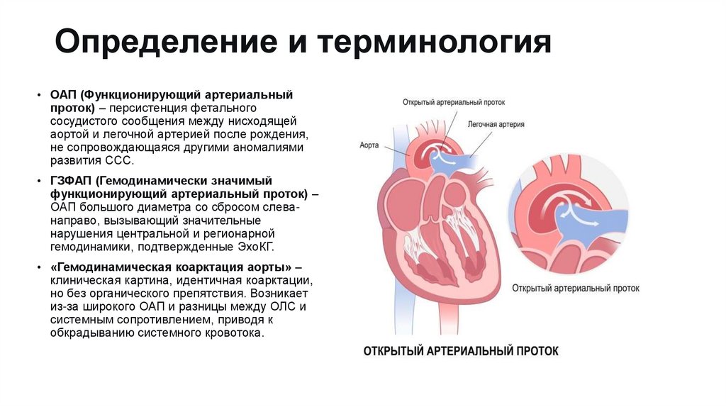 Определение и терминология