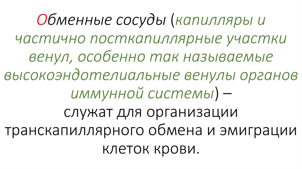 Обменные сосуды (капилляры и частично посткапиллярные участки венул, особенно так называемые высокоэндотелиальные венулы