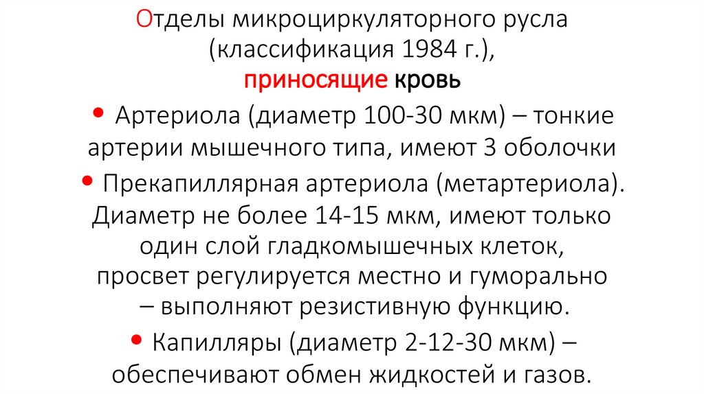 Отделы микроциркуляторного русла (классификация 1984 г.), приносящие кровь • Артериола (диаметр 100-30 мкм) – тонкие артерии