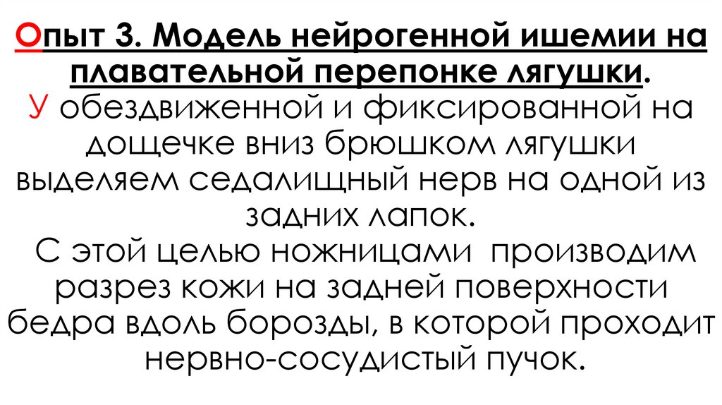 Опыт 3. Модель нейрогенной ишемии на плавательной перепонке лягушки. У обездвиженной и фиксированной на дощечке вниз брюшком