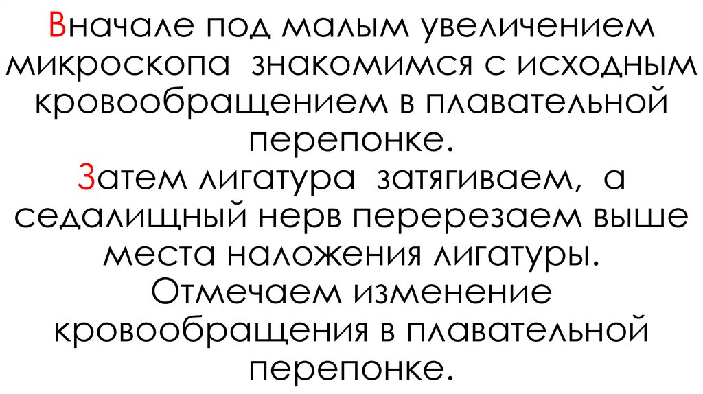 Вначале под малым увеличением микроскопа знакомимся с исходным кровообращением в плавательной перепонке. Затем лигатура