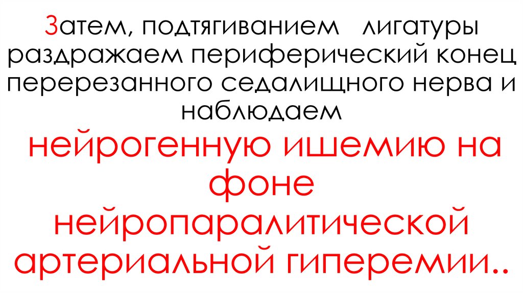 Затем, подтягиванием лигатуры раздражаем периферический конец перерезанного седалищного нерва и наблюдаем нейрогенную ишемию на
