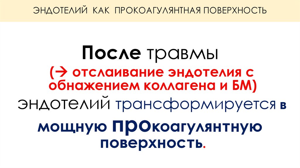 ЭНДОТЕЛИЙ КАК ПРОКОАГУЛЯНТНАЯ ПОВЕРХНОСТЬ