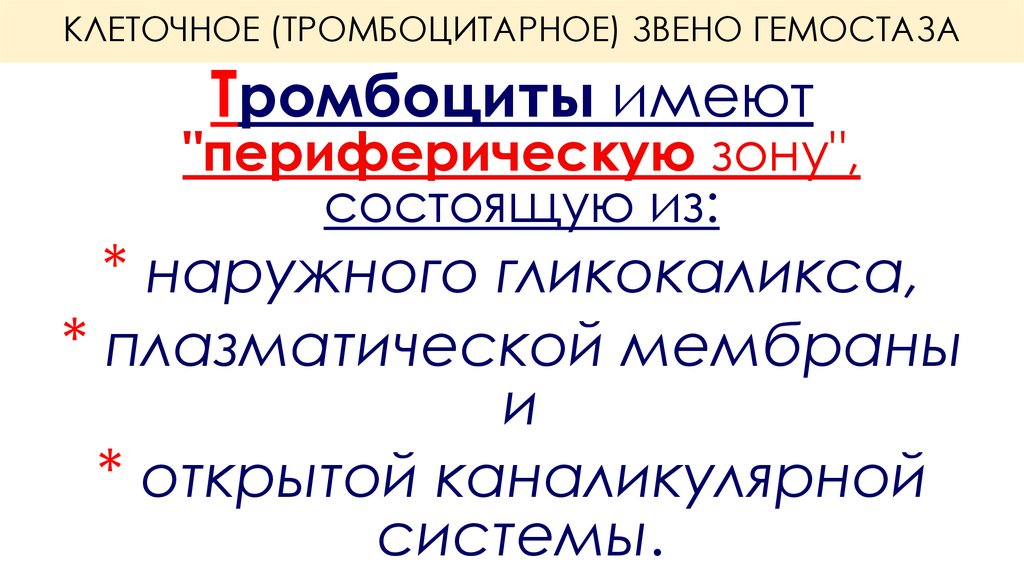 КЛЕТОЧНОЕ (ТРОМБОЦИТАРНОЕ) ЗВЕНО ГЕМОСТАЗА