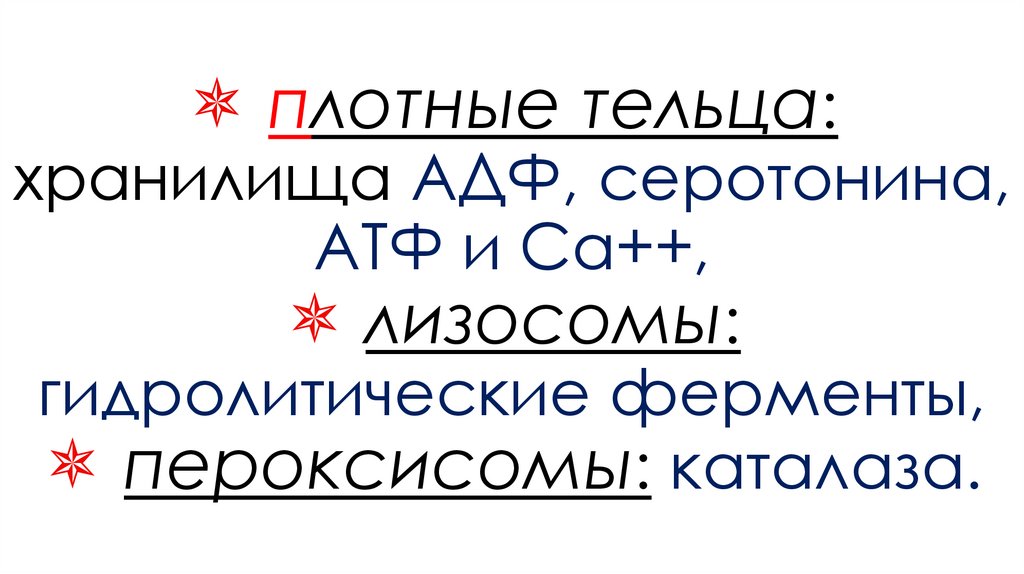 плотные тельца: хранилища АДФ, серотонина, АТФ и Са++,  лизосомы: гидролитические ферменты,  пероксисомы: каталаза.