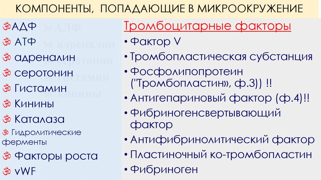 КОМПОНЕНТЫ, ПОПАДАЮЩИЕ В МИКРООКРУЖЕНИЕ