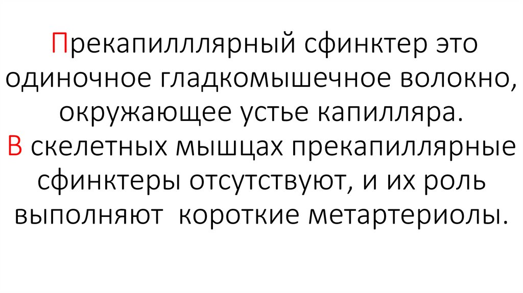 Прекапилллярный сфинктер это одиночное гладкомышечное волокно, окружающее устье капилляра. В скелетных мышцах прекапиллярные