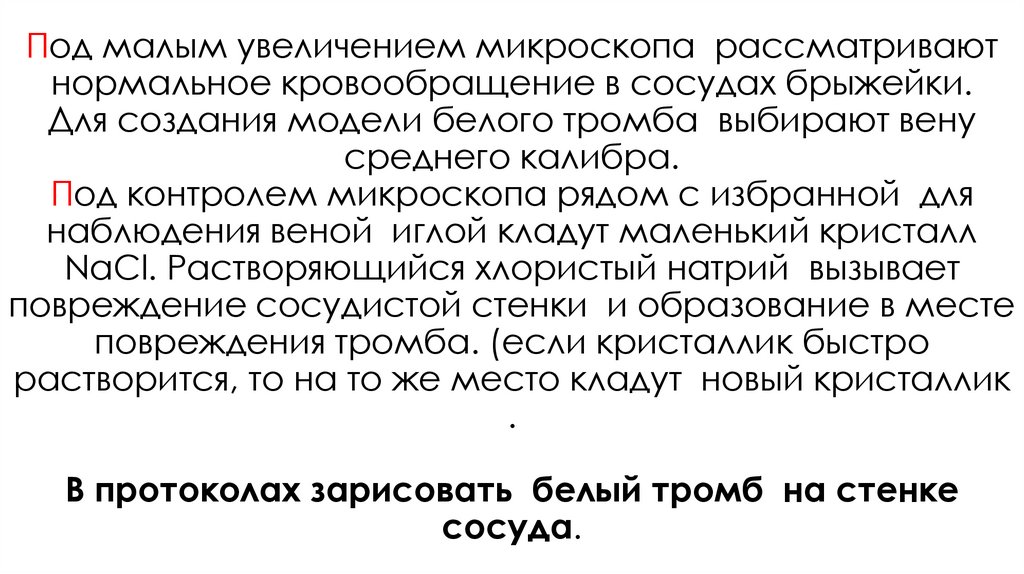 Под малым увеличением микроскопа рассматривают нормальное кровообращение в сосудах брыжейки. Для создания модели белого тромба