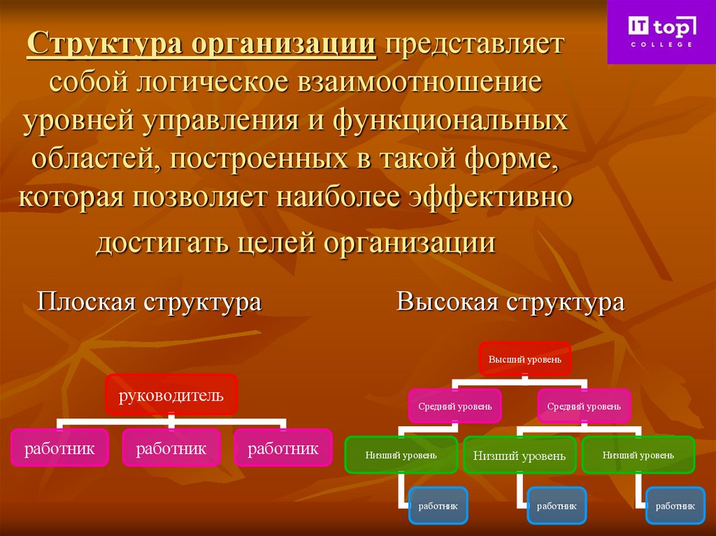 Структура организации представляет собой логическое взаимоотношение уровней управления и функциональных областей, построенных в