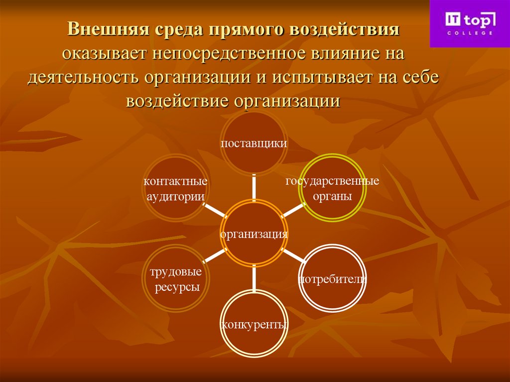Внешняя среда прямого воздействия оказывает непосредственное влияние на деятельность организации и испытывает на себе