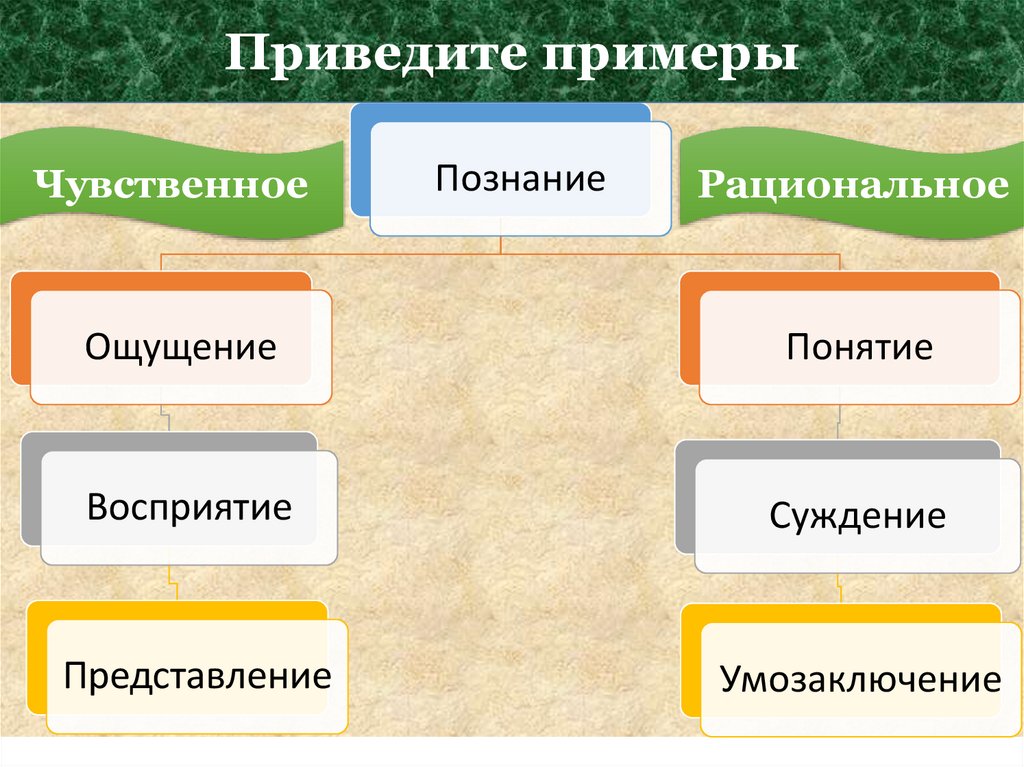 Формы познания