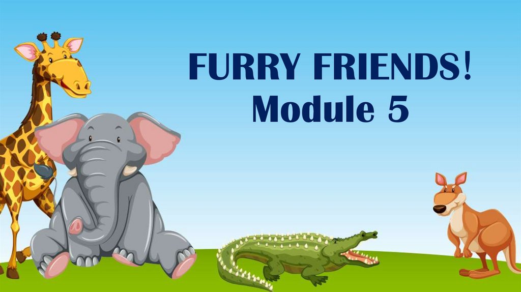 FURRY FRIENDS! Module 5