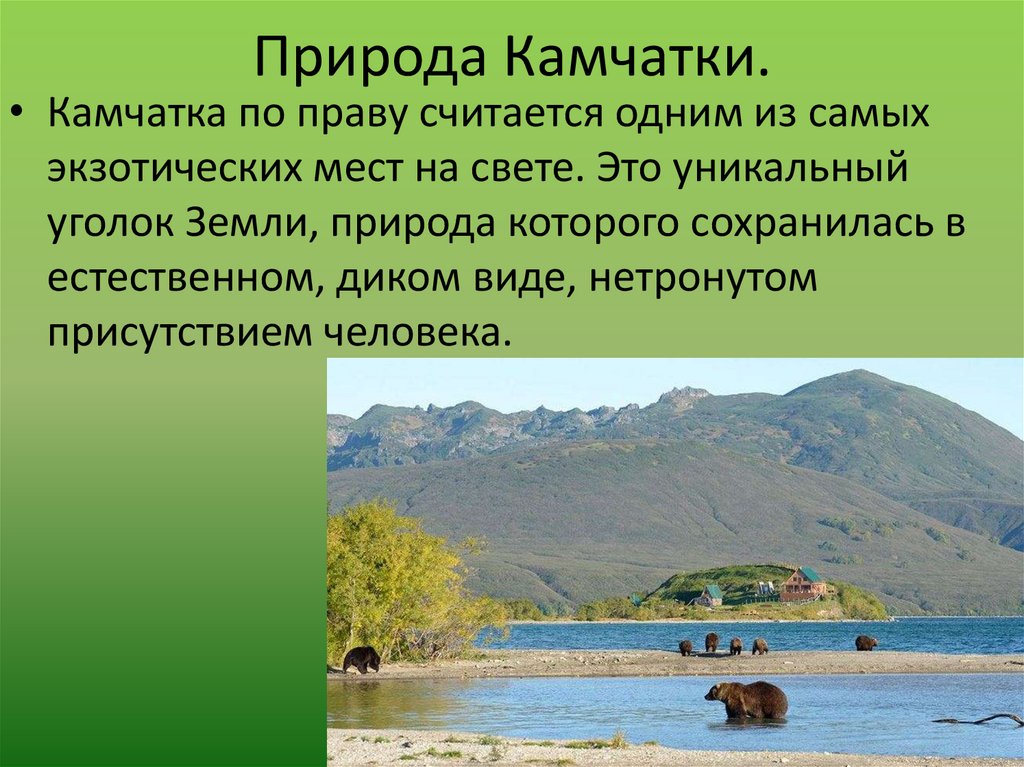 Природа Камчатки.