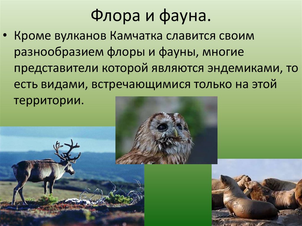 Флора и фауна.