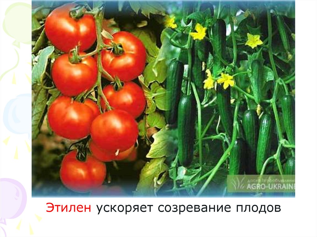 Промышленные способы