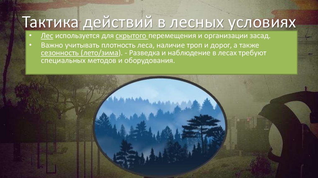 Тактика действий в лесных условиях
