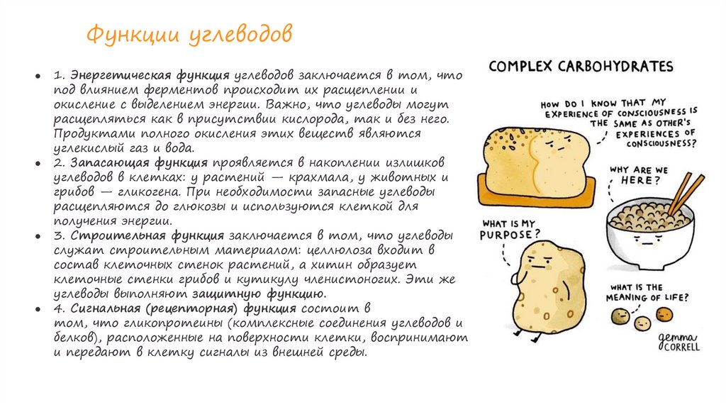 Функции углеводов