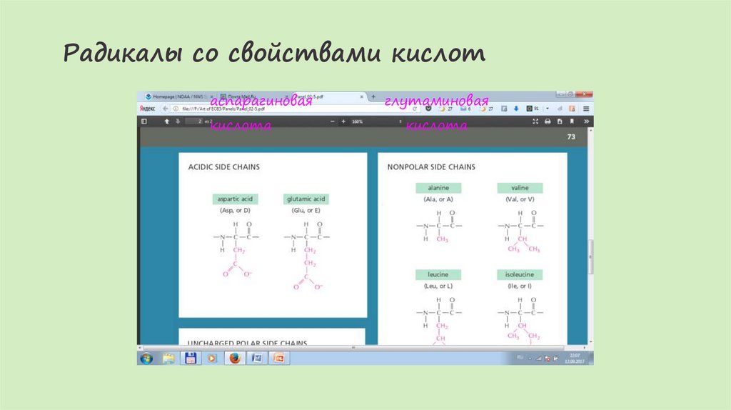 Радикалы со свойствами кислот