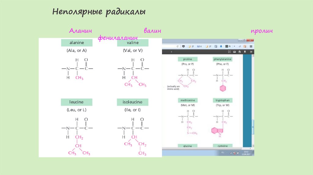 Неполярные радикалы