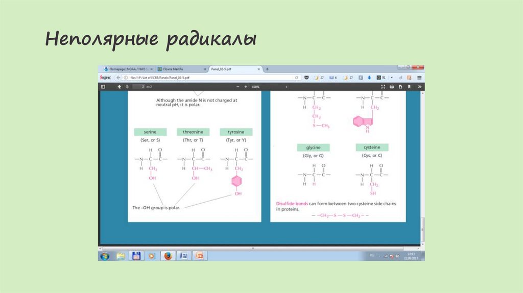 Неполярные радикалы