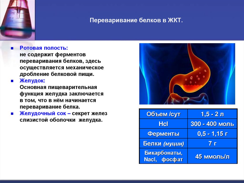 Переваривание белков в ЖКТ.