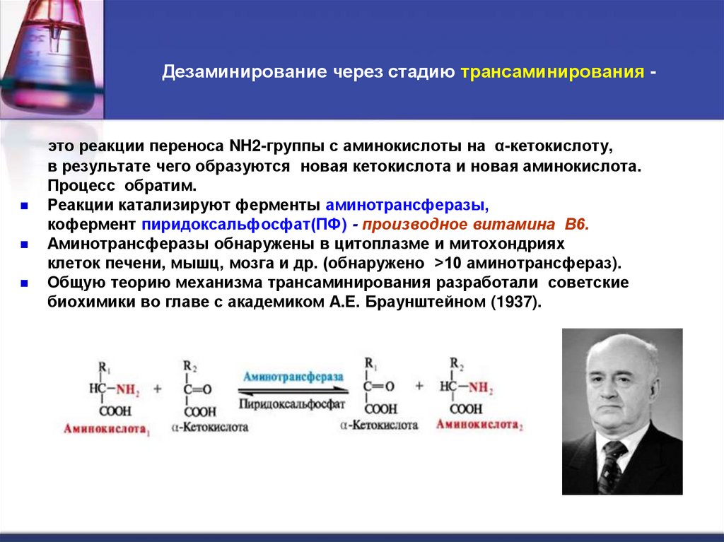 Дезаминирование через стадию трансаминирования -