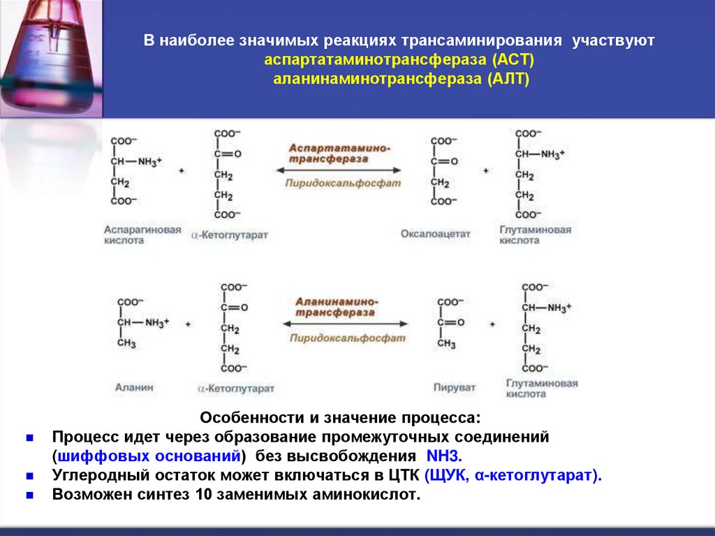 В наиболее значимых реакциях трансаминирования участвуют аспартатаминотрансфераза (АСТ) аланинаминотрансфераза (АЛТ)