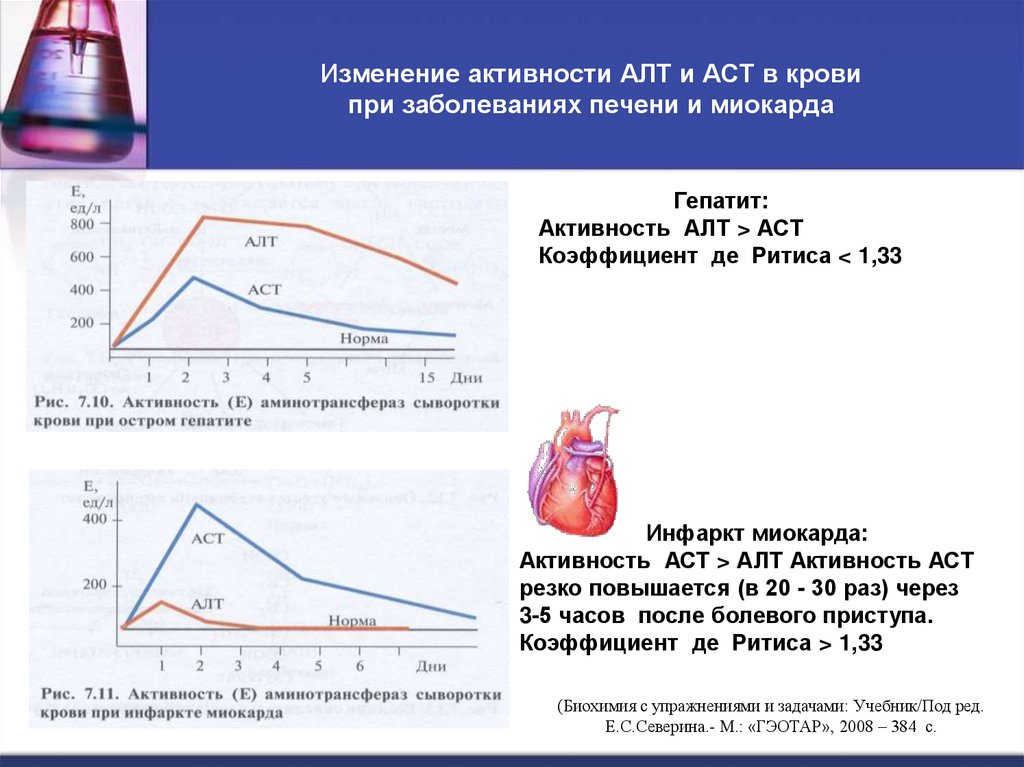 Изменение активности АЛТ и АСТ в крови при заболеваниях печени и миокарда