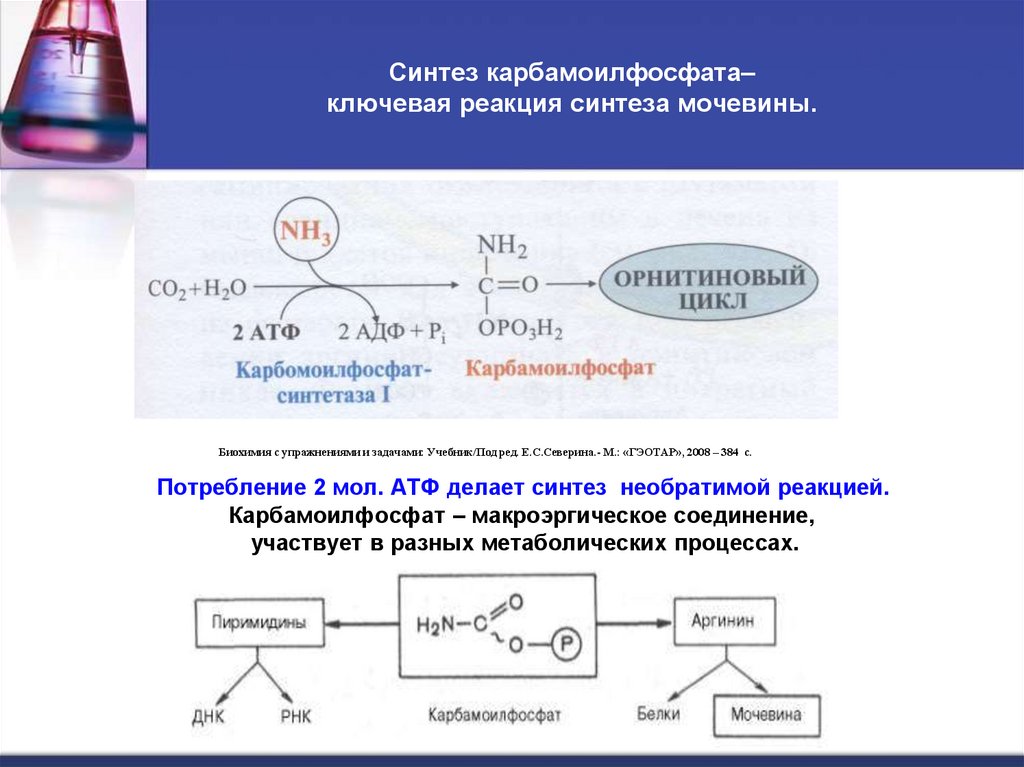 Синтез карбамоилфосфата– ключевая реакция синтеза мочевины.