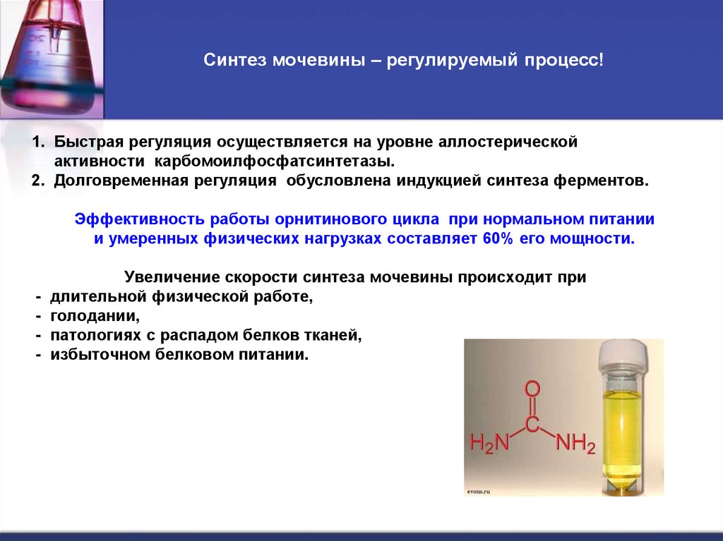 Синтез мочевины – регулируемый процесс!