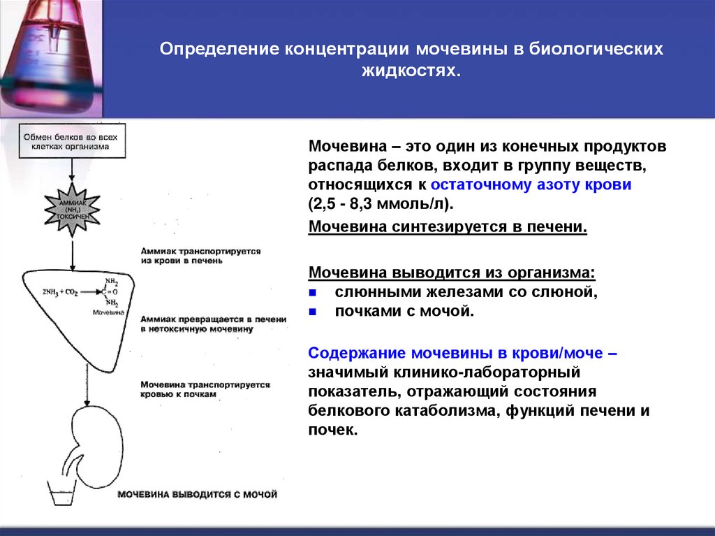Определение концентрации мочевины в биологических жидкостях.