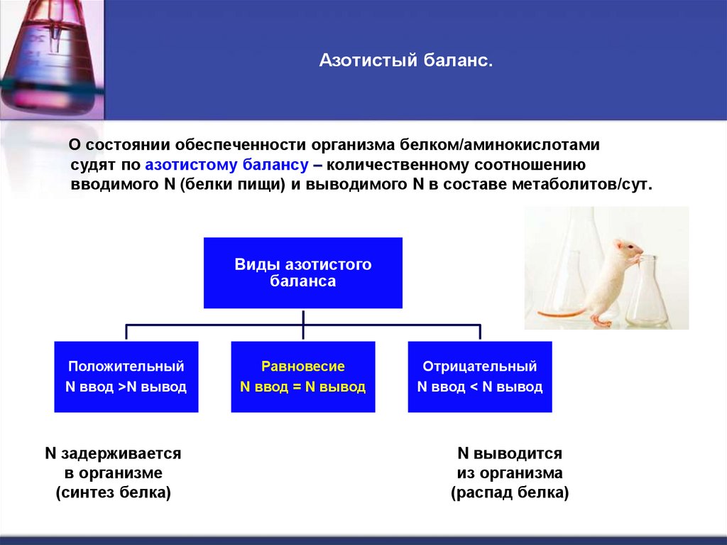 Азотистый баланс.