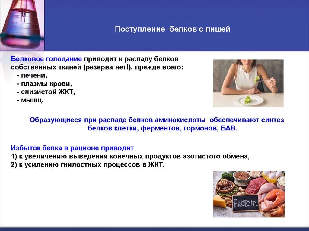 Поступление белков с пищей