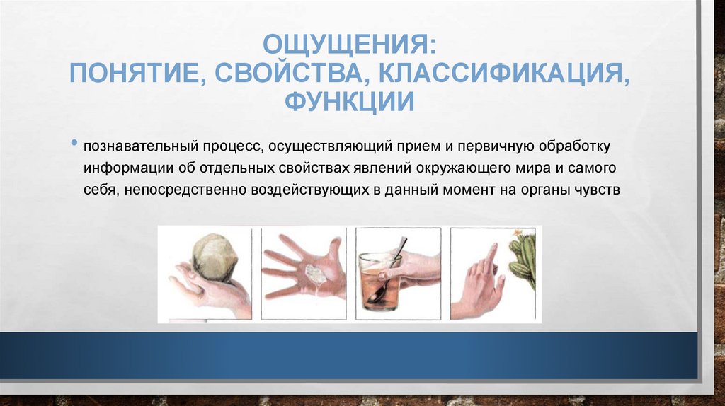 Ощущения: понятие, свойства, классификация, функции