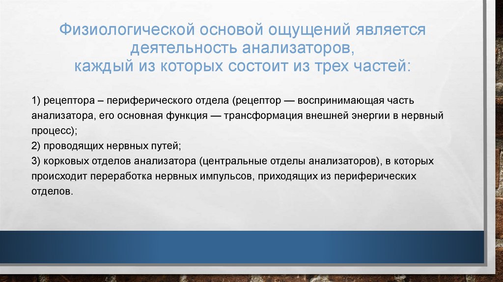 Физиологической основой ощущений является деятельность анализаторов, каждый из которых состоит из трех частей: