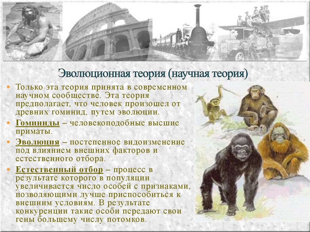 Эволюционная теория (научная теория)