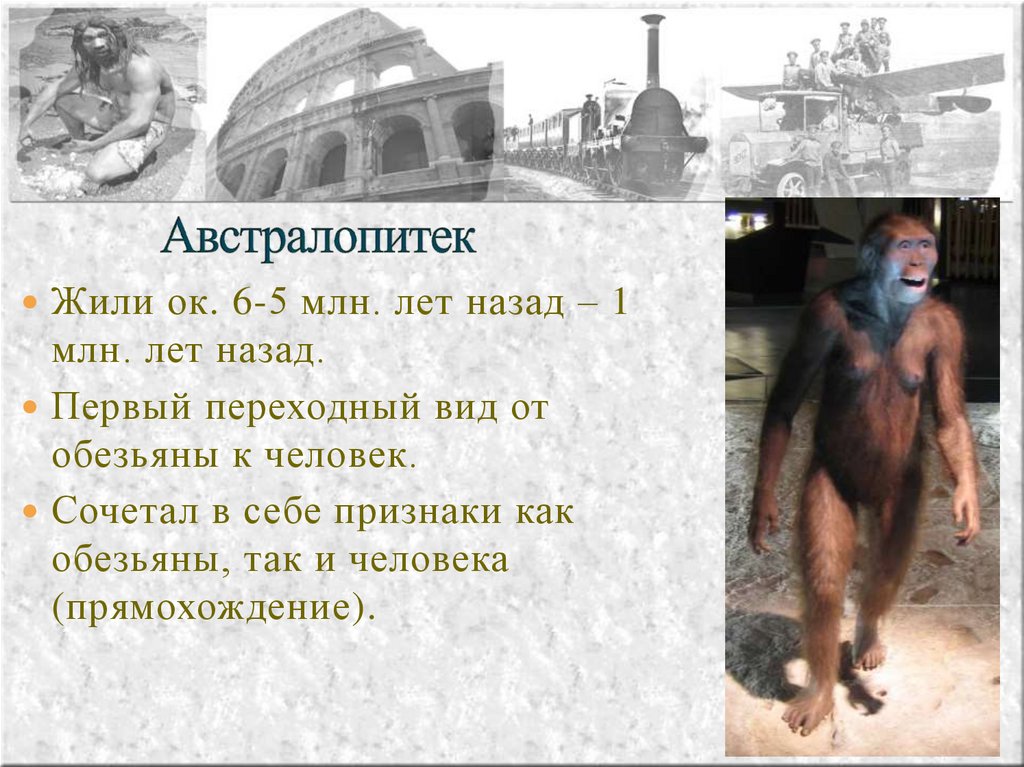 Австралопитек