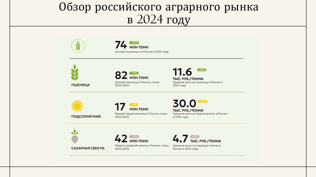 Обзор российского аграрного рынка в 2024 году