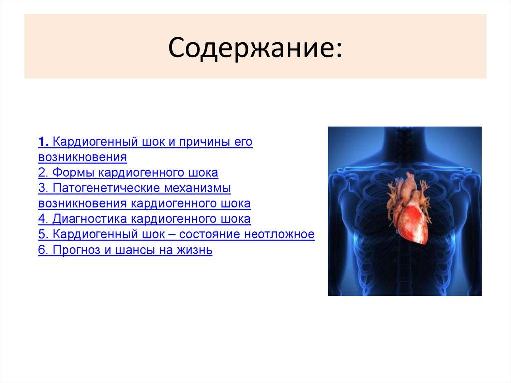 Содержание: