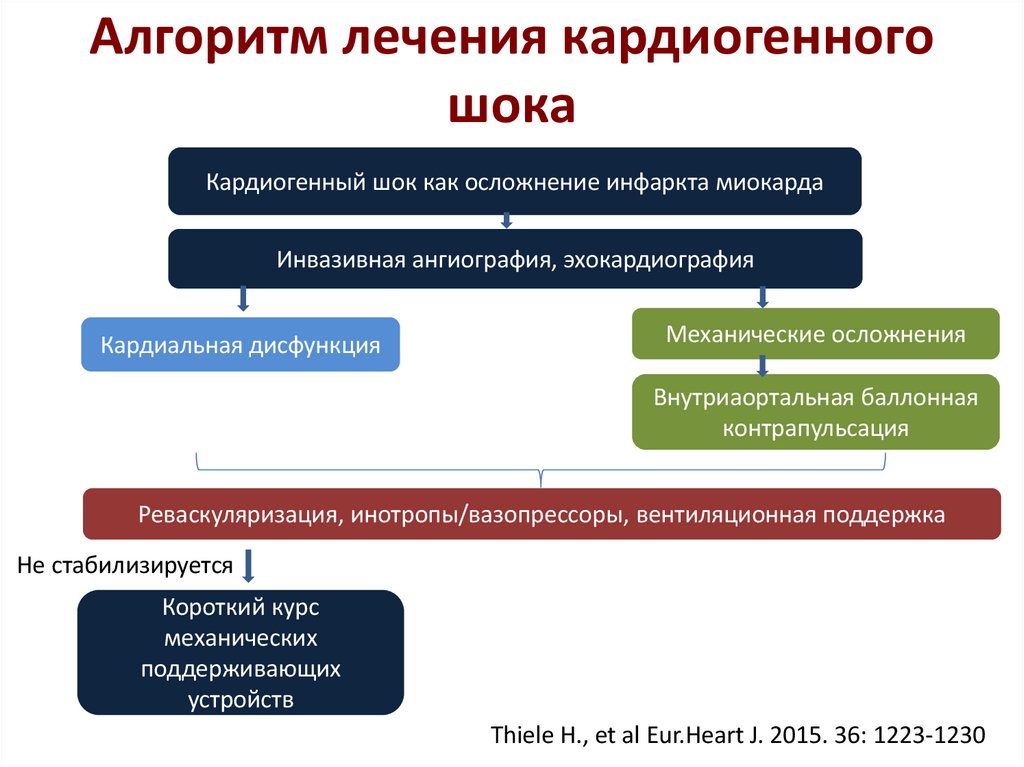 Алгоритм лечения кардиогенного шока